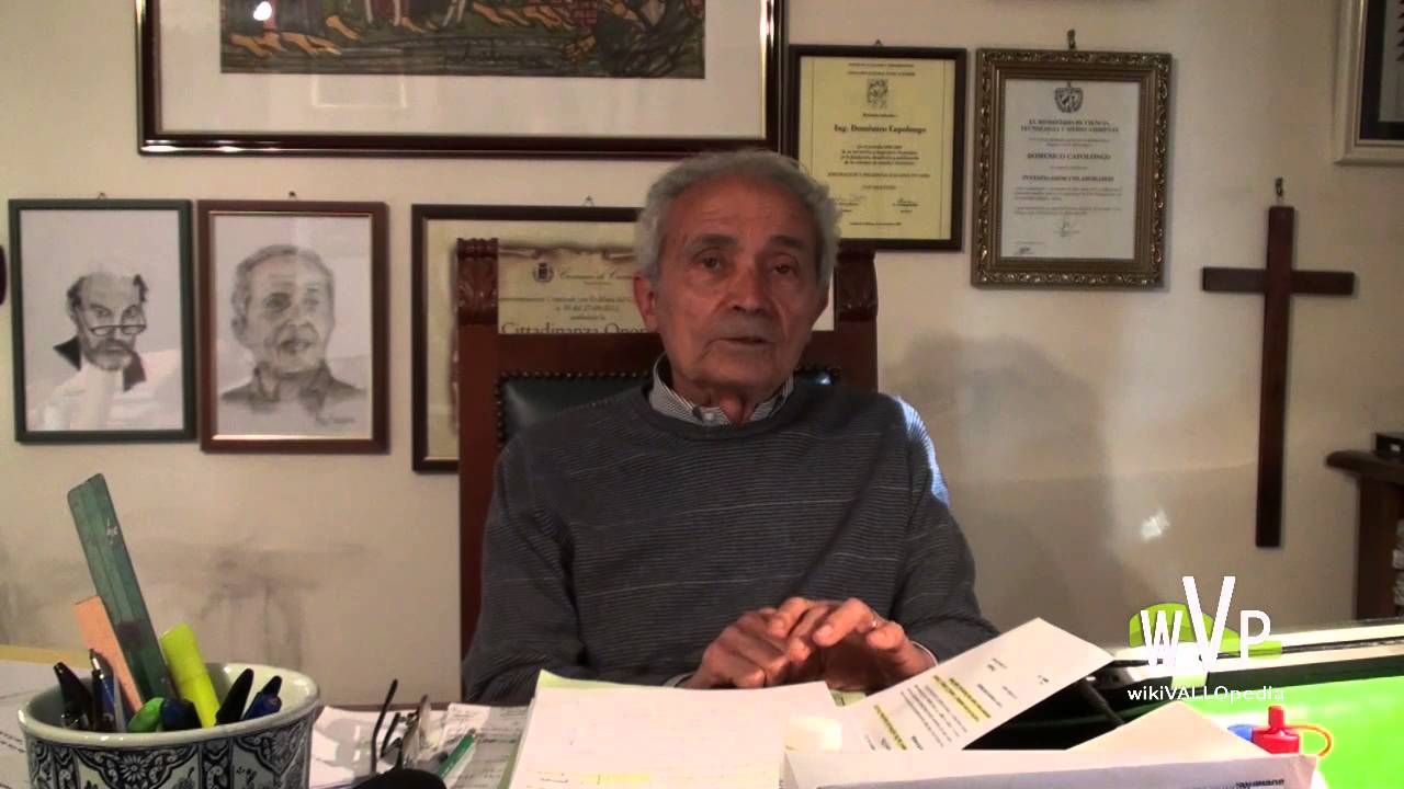 Domenico Capolongo