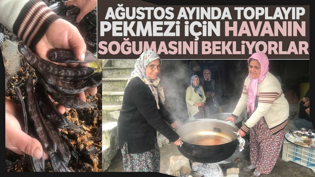 Şifa Kaynağı Keçiboynuzu Pekmezi Kadınların Geçim Kaynağı Oldu