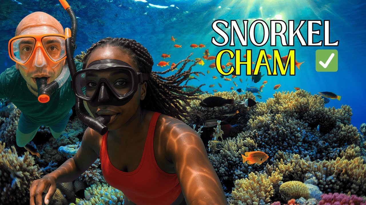 Cham Island Snorkeling Guide 🇻🇳 | Worth the Trip from Hoi An?