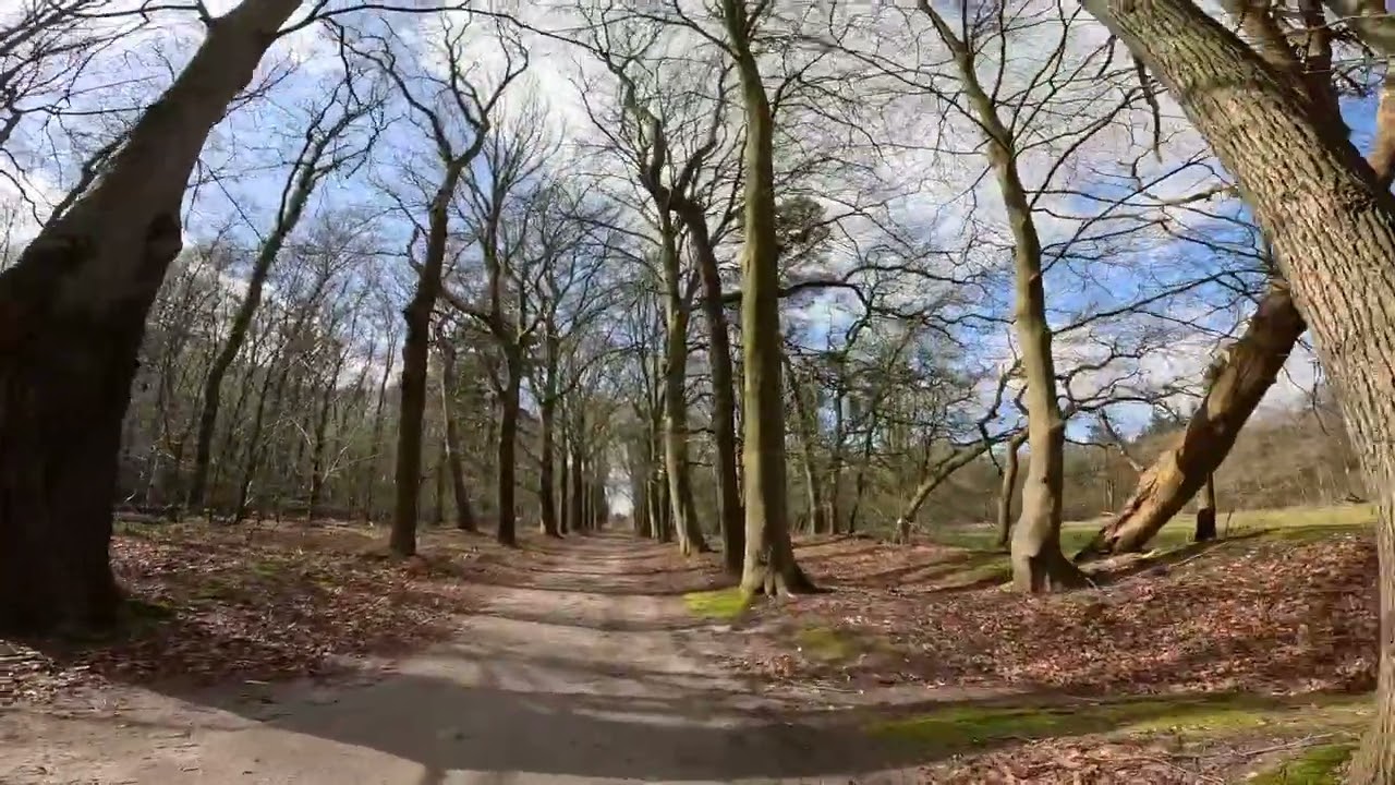 Rijsterbos voorjaar 2025