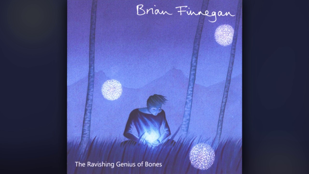 Brian Finnegan - Night Ride To Armagh