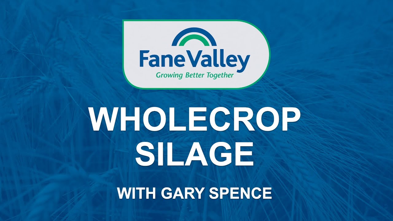 Wholecrop Silage with Gary Spence