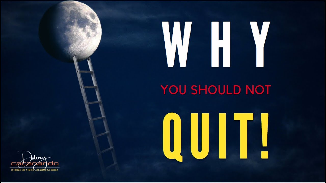 Insights: Why You Should Not Quit
