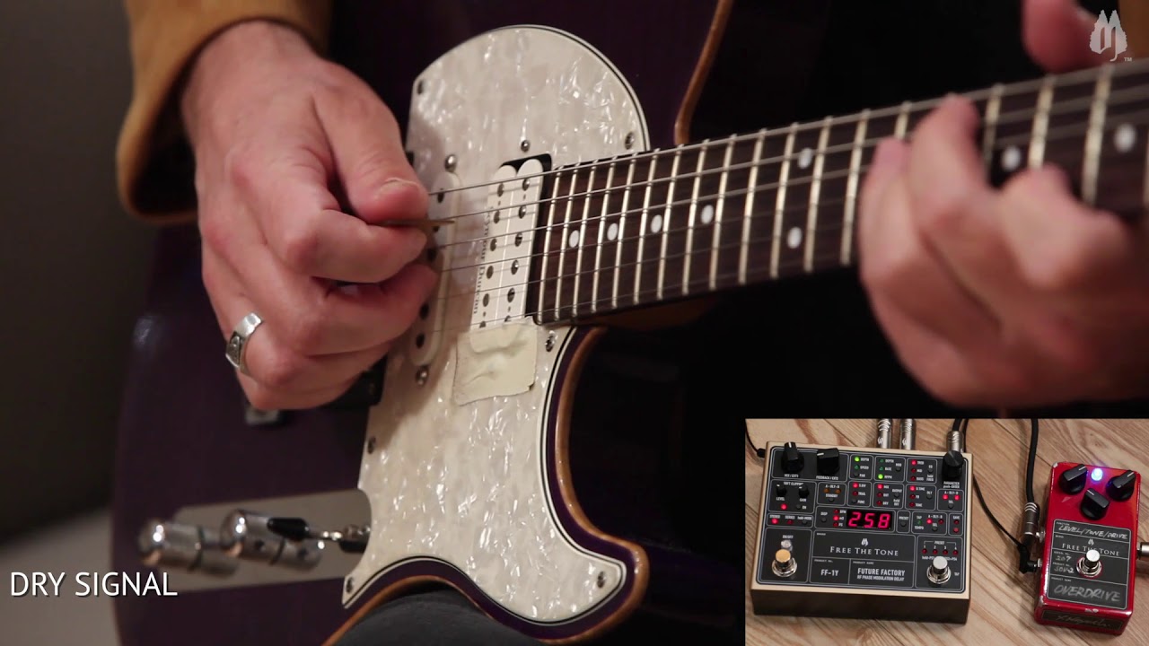 FREE THE TONE FUTURE FACTORY / FF-1Y (Dual Modulation Delay) Demo by Shane Theriot