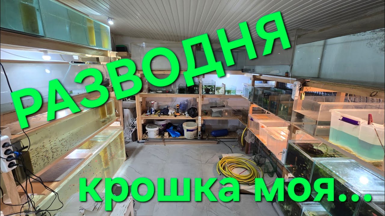 Тотальный обзор ВСЕХ аквариумов