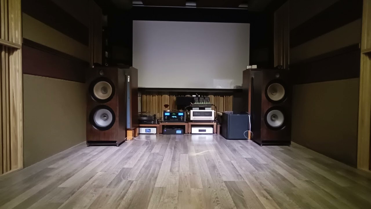 飛利浦5200+ RFT L3060 全音域喇叭+超高音