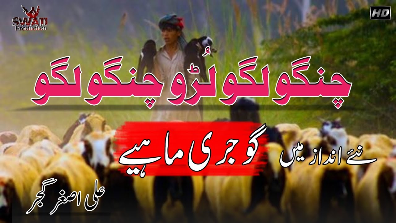 Gojjri Pahari Song by Ali Asghar Gujjar|Luro Chango lago