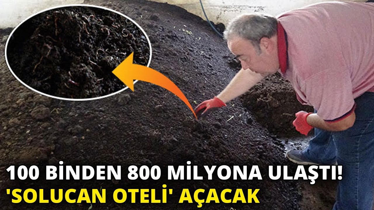 100 binden 800 milyona ulaştı! 'Solucan oteli' açacak