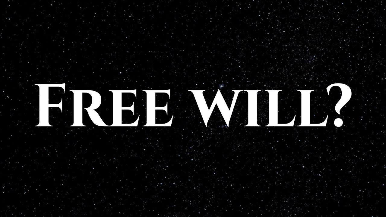 Every Philosophical Argument About Free Will