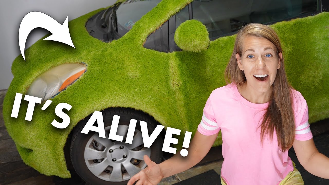 I Turn My Car into a GIANT CHIA PET