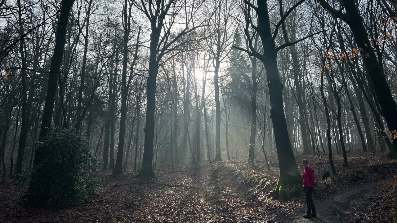 Kort filmpje van een pittige wandeling 