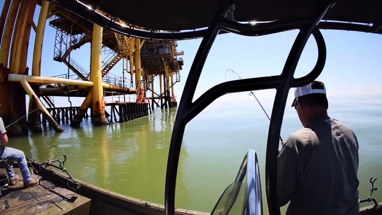 Cocodrie Louisiana fishing