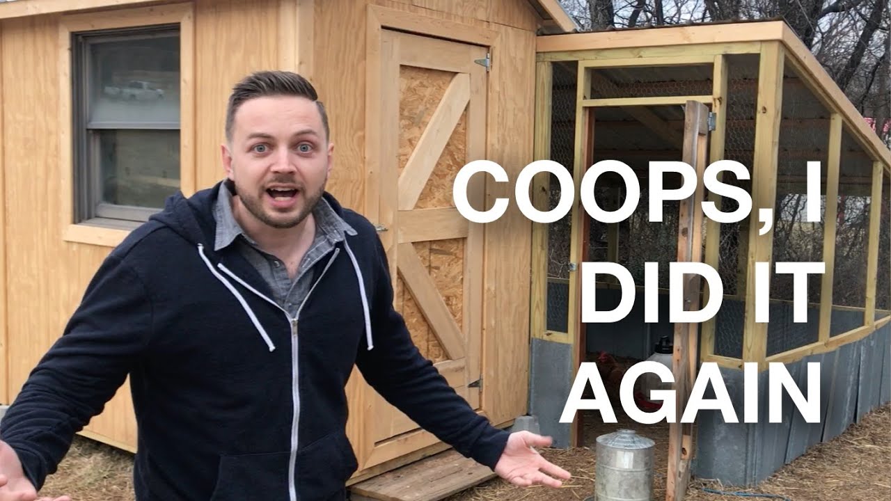 🔨  Building A Bigger Better Chicken Coop & Run On The Farm