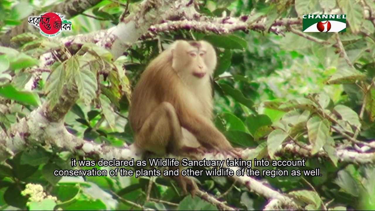 Nature and Life - Episode 290 (Fasiakhali Wildlife Sanctuary)
