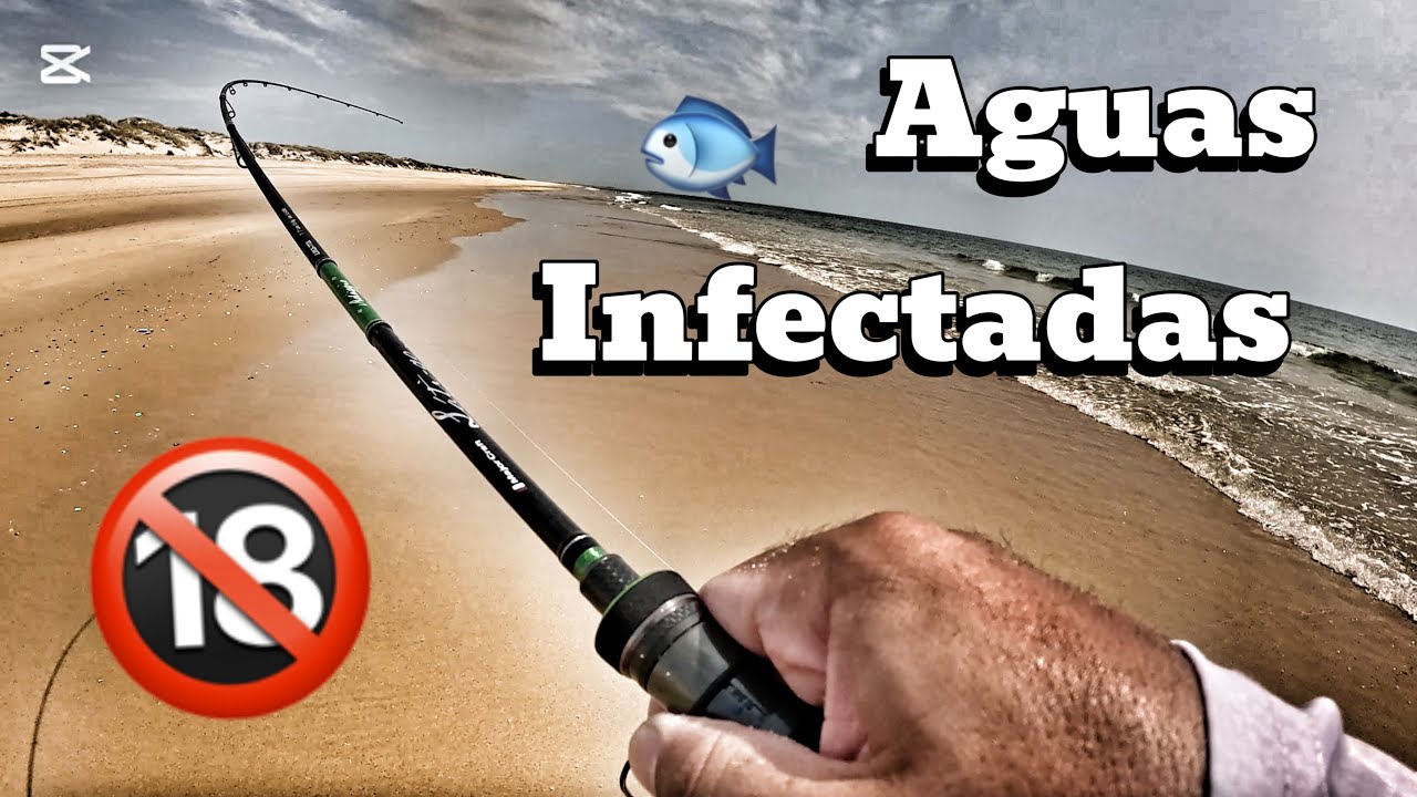 Pesca tranquila que terminó en FIESTA de picadas!!