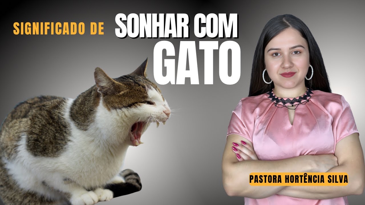 SONHAR COM GATO