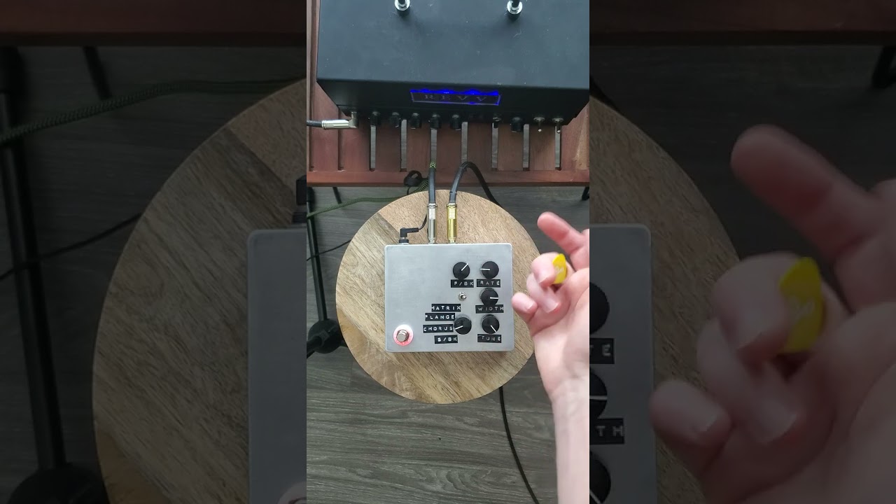 PolyChorus/Echoflanger build Sep 2024 (lectric fx Dandy Horse)