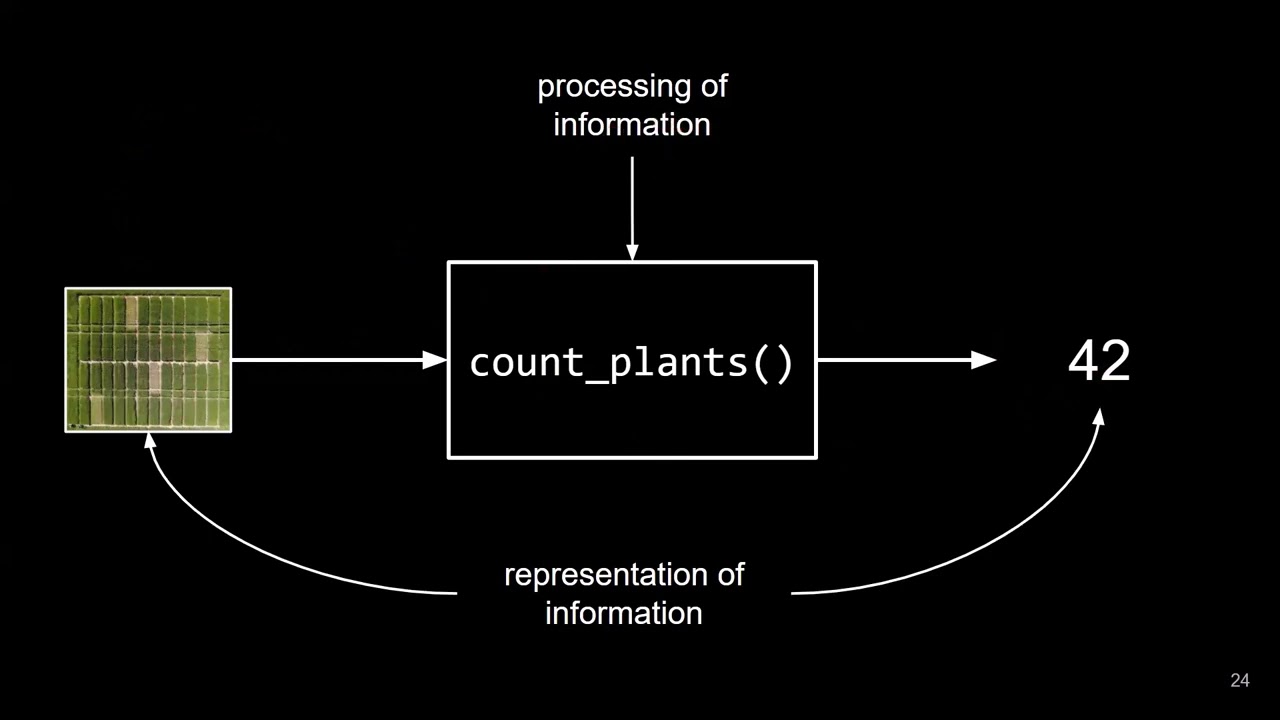 Digitalisierung und Programmierung - Problemlösung (Problem Solving) - Prof. Dr. Nicolas Meseth