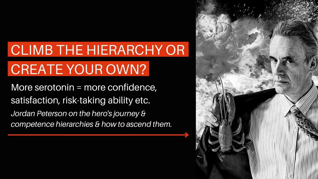Ascending Competence Hierarchies Guide - Jordan Peterson (& My Thoughts)