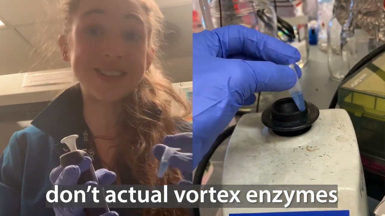 Practical tips for mixing samples in eppendorf (microcentrifuge) tubes