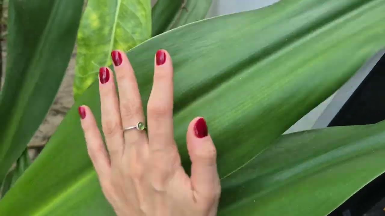 Fast ASMR Outside 🌱 Relaxing Plant Sounds
