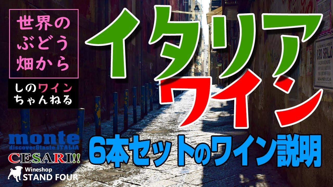 【イタリアワイン】6本セットのワイン説明動画（モンテ物産）しのワインちゃんねる世界のぶどう畑からシリーズ（2021.4）