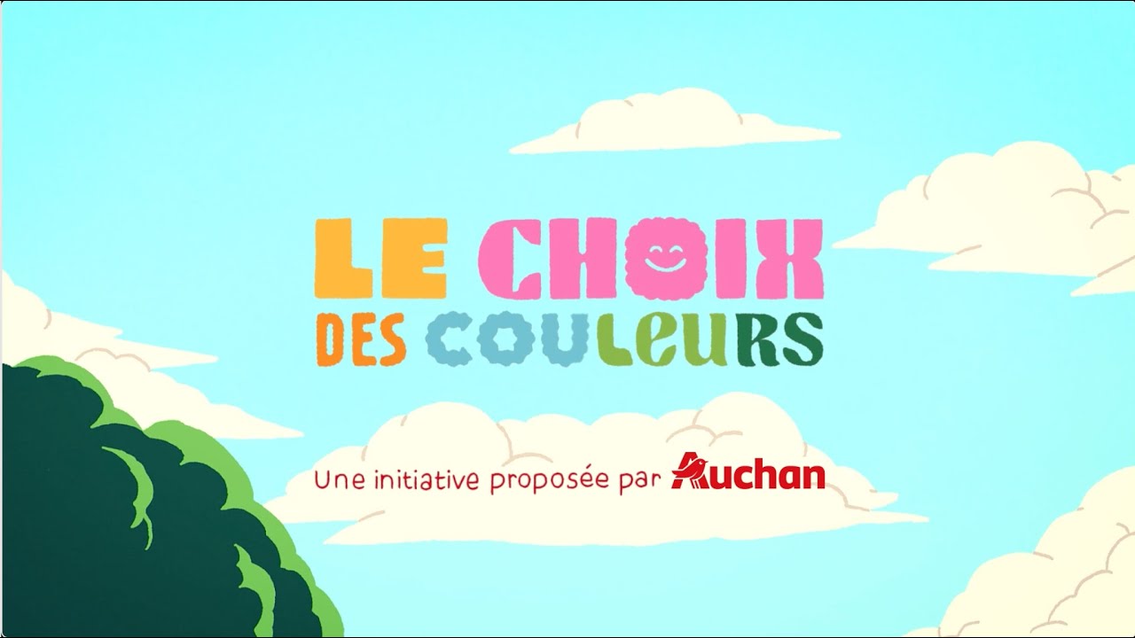 LE CHOIX DES COULEURS - AUCHAN