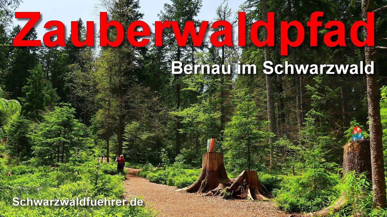 Zauberwaldpfad in Bernau im Schwarzwald