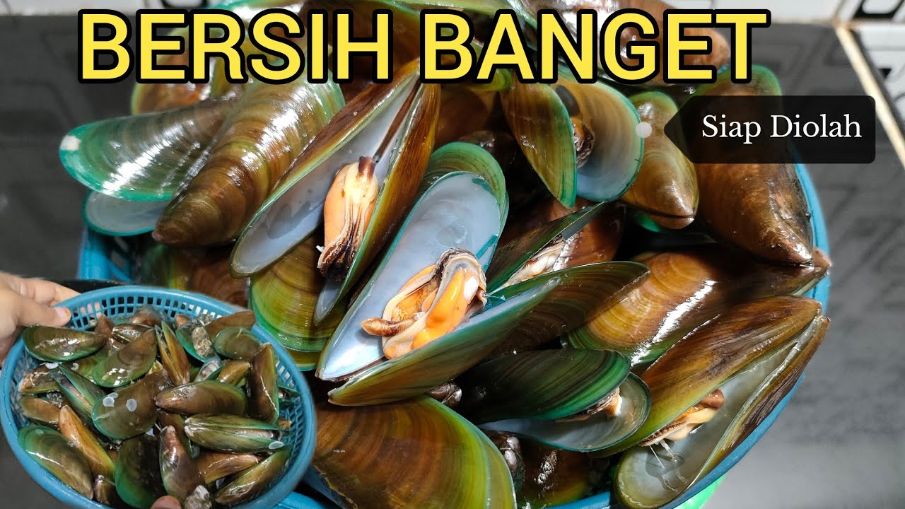 TIPS CARA MEMBERSIHKAN KERANG HIJAU SEBELUM DI MASAK || SIMPLE BERSIH BANGET SIAP OLAH || KERANG IJO