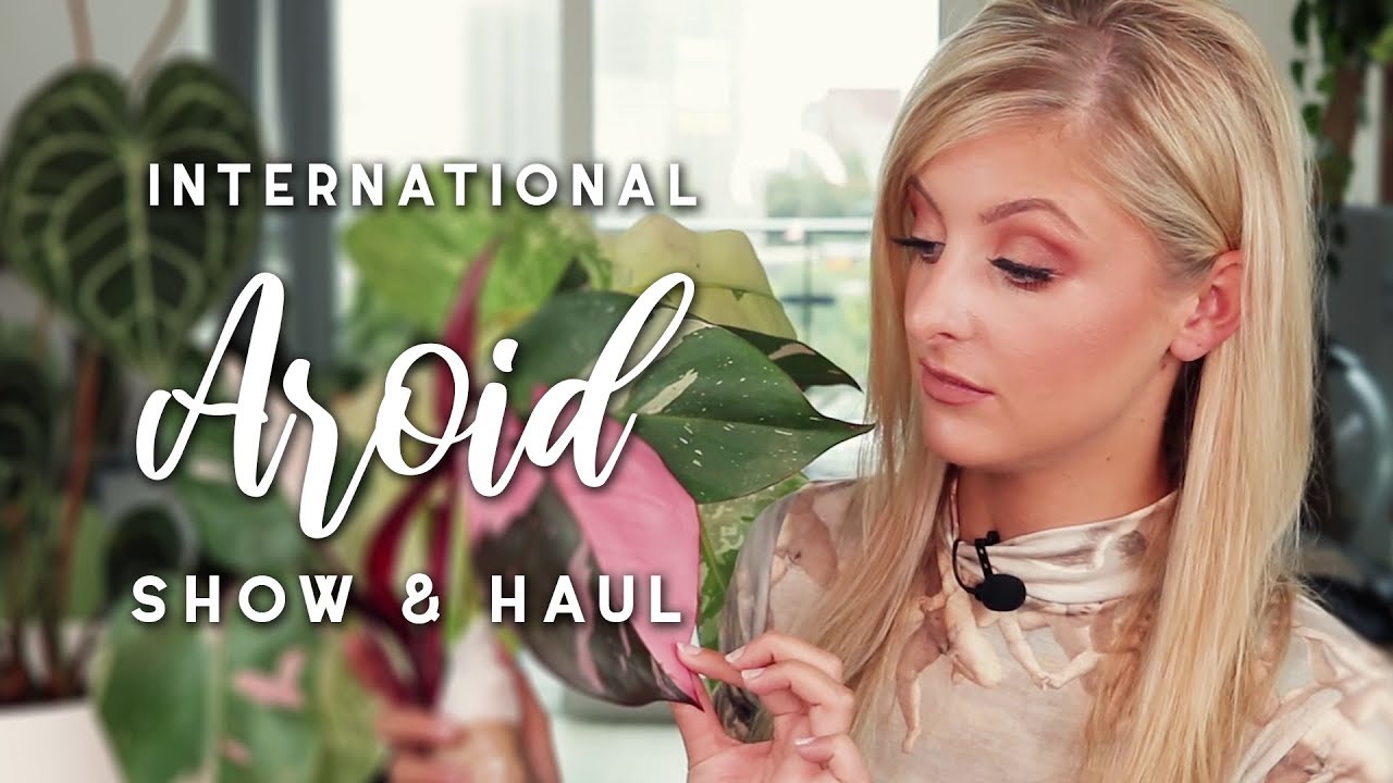 International Aroid Show Thoughts & Haul