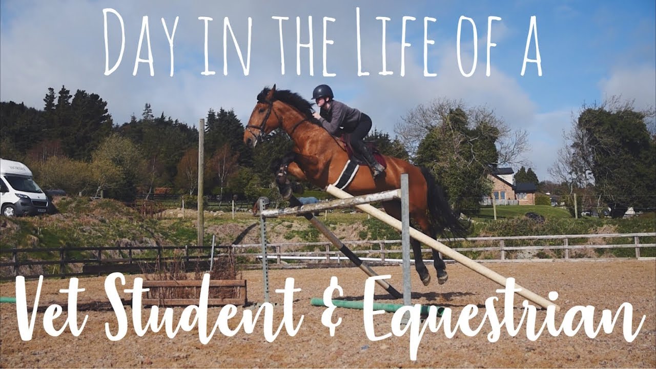 DAY IN THE LIFE OF A VET STUDENT AND EQUESTRIAN