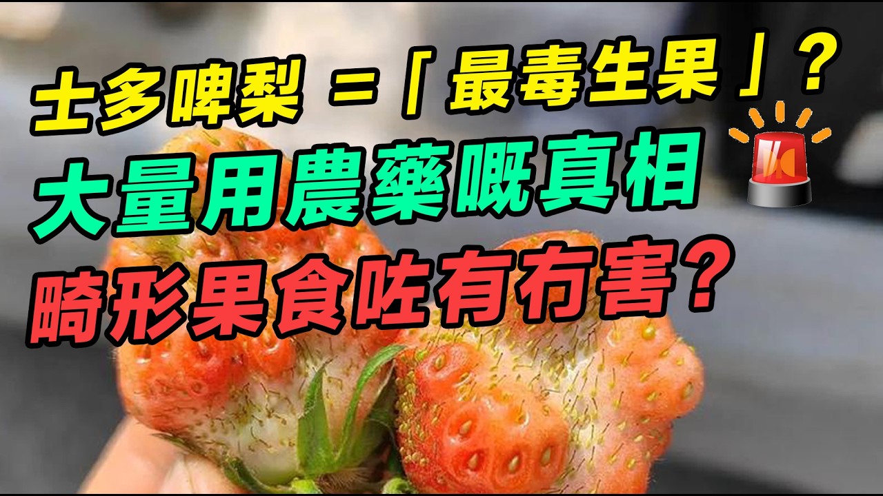 士多啤梨點解變咗「最毒生果」？大量用農藥嘅真相！到底應該點樣洗？畸形果食咗有冇害？你食緊嘅士多啤梨果肉竟然係假嘅？  #知識 #生果 #士多啤梨 #生物 #植物