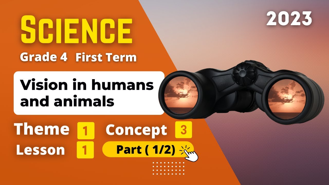Grade 4 | Science | Unit 1 - Concept 3 - Lesson 1 - Part (1/2) | Vision in humans and animals
