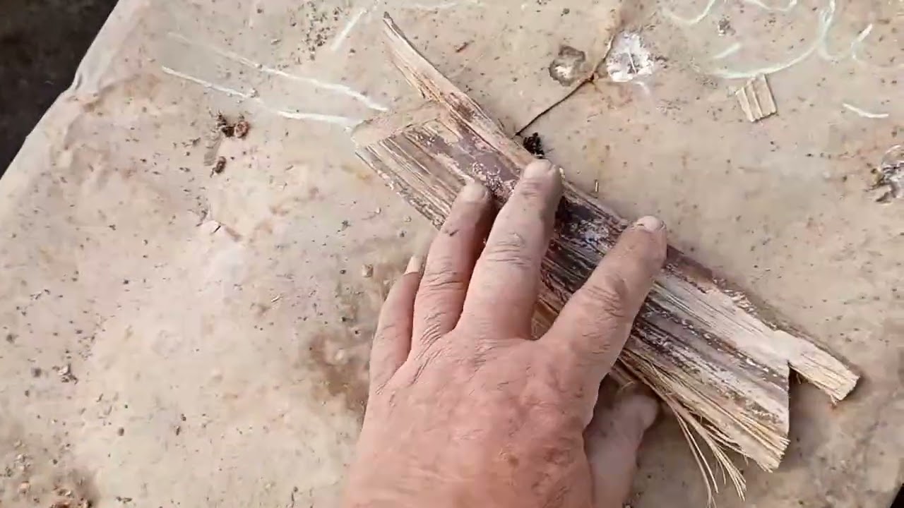 اوعا من  البلاستيك على الخلايا لتقليل الرطوبة
