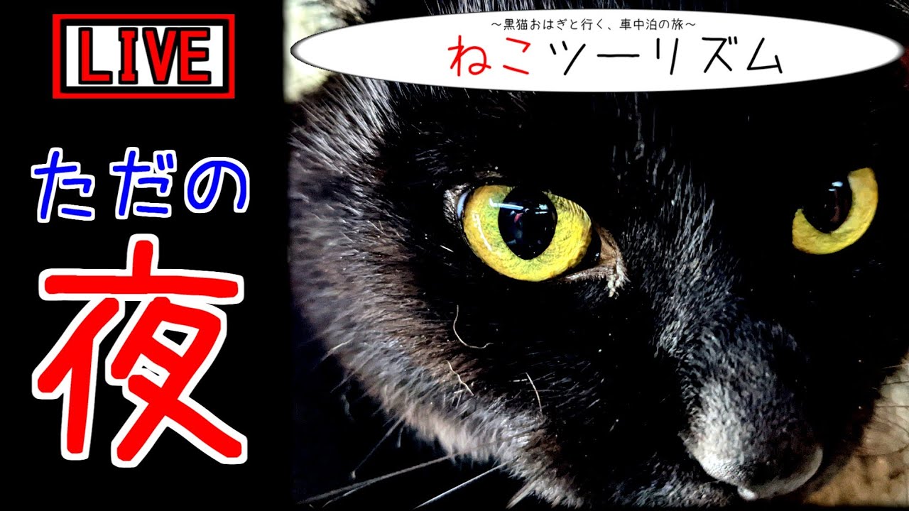 【猫と車中泊】切り干し大根＆いなり