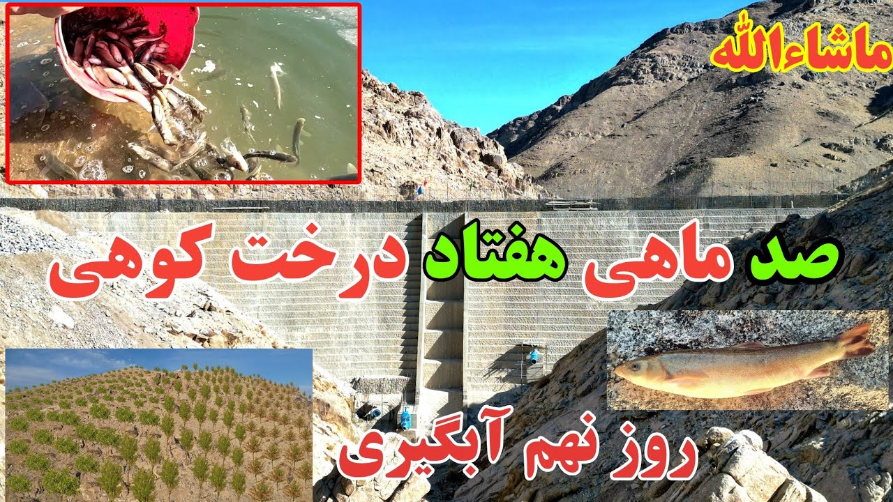 گزارش جدید از بند همبستگی سنگجوی لومان 