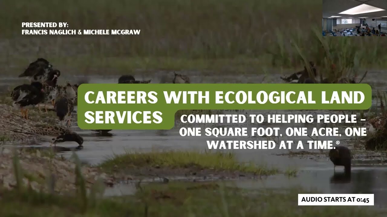 Environmental Company Spotlight: Ecological Land Services (ELS)
