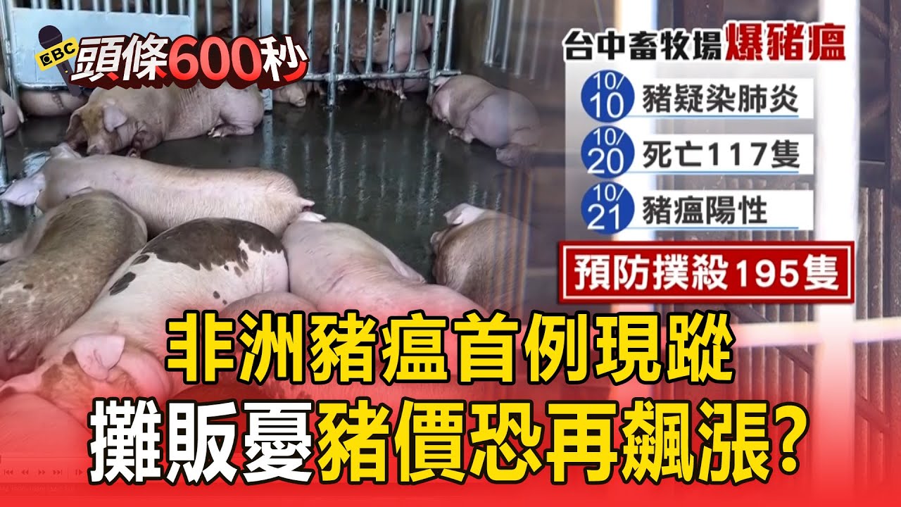 台中梧棲養豬場「逾百隻豬」突暴斃！ 非洲豬瘟首例現蹤「全國禁運禁宰5天」豬價恐再飆漲？【頭條600秒】