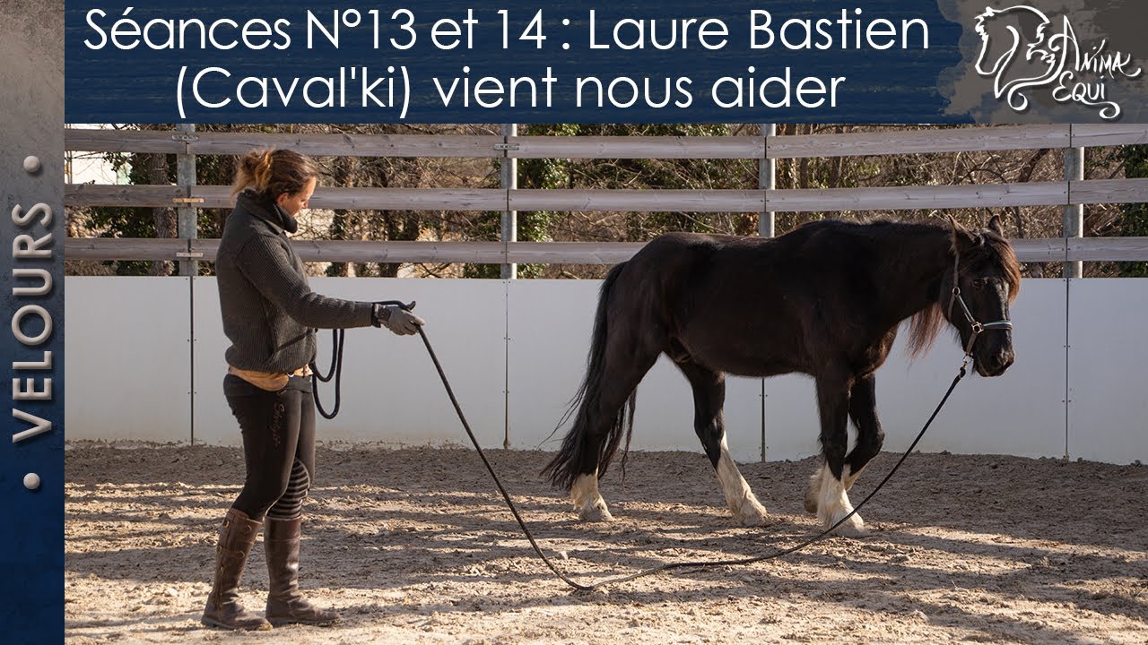 • VELOURS • Séances N°13 et 14 : Laure Bastien (Caval'ki) vient nous aider