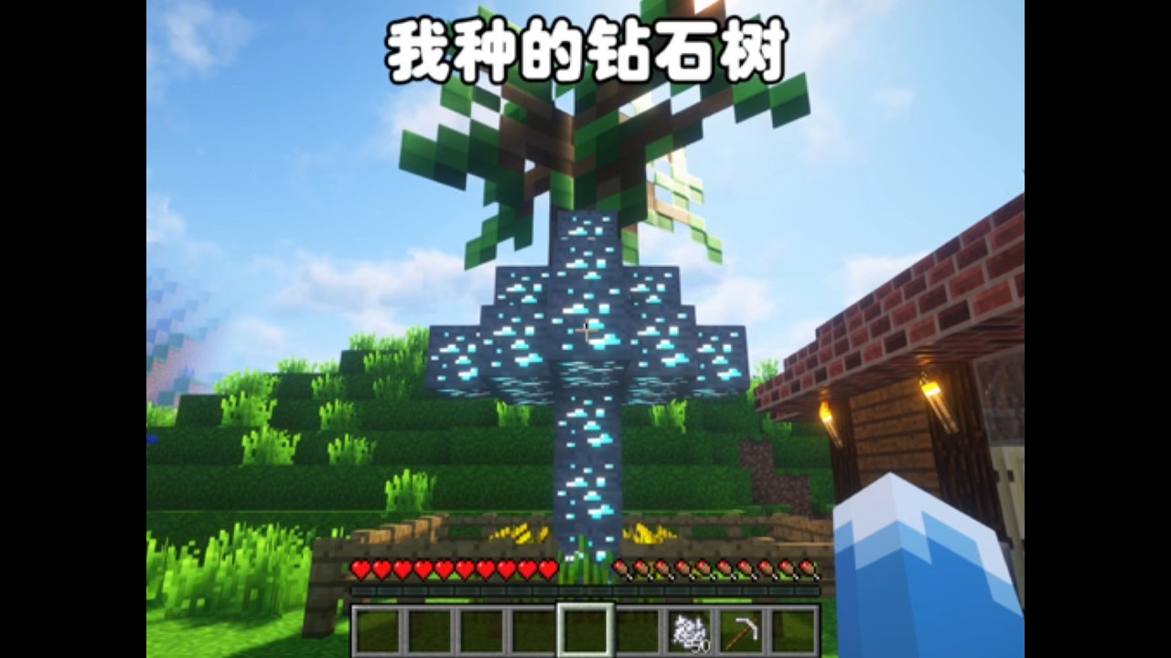 我种的钻石