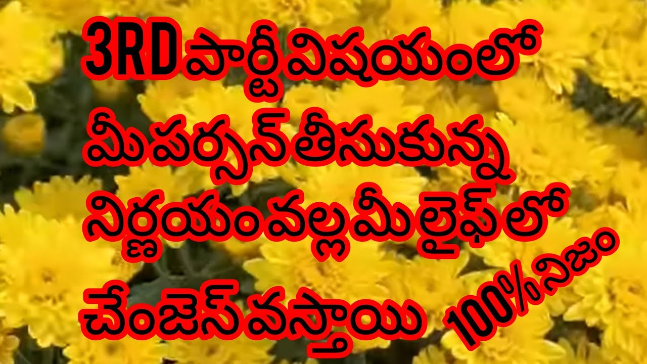 🌹6300511306🌹3rdపార్టీవిషయంలో మీపర్సన్ తీసుకున్న నిర్ణయం వల్ల మీలైఫ్లో చేంజెస్ వస్తాయి#tarot #vairal 