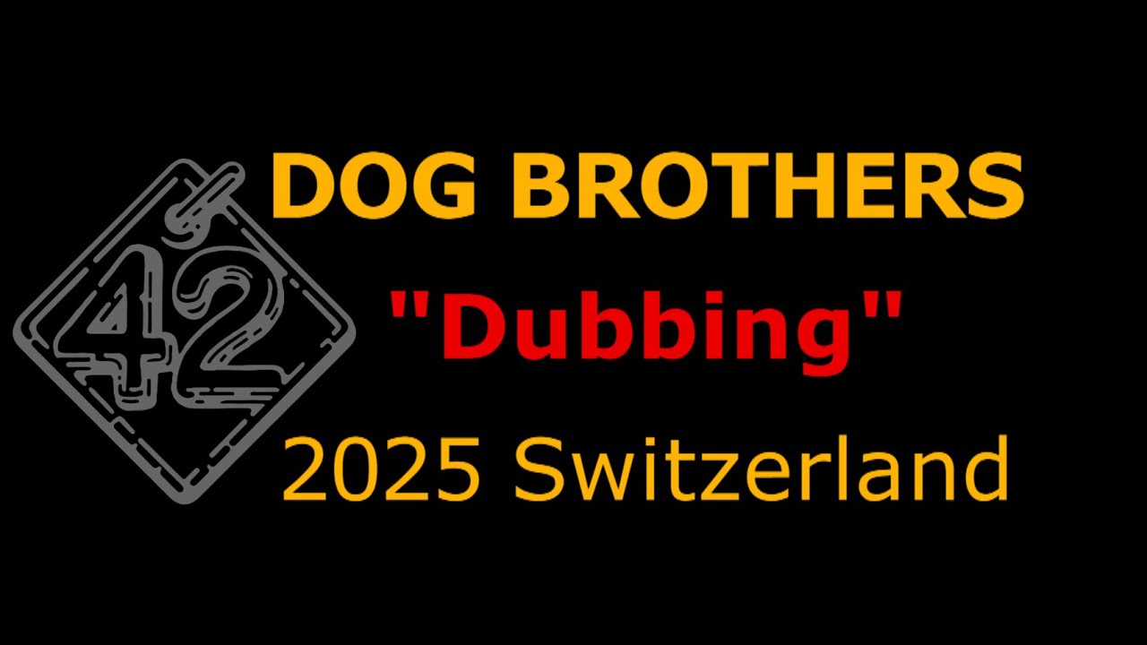 DB dubbing 2025