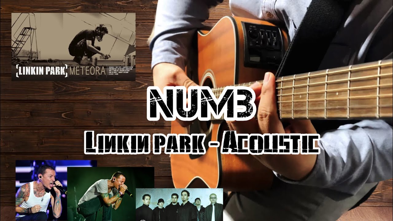 Linkin Park - Numb (Unplugged, Acoustic Cover) #linkinpark #rock #takamine