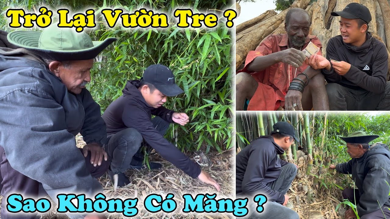 Công Giáp || Bác Chủ Vườn Tre Ngạc Nhiên Trước Sự Trở Lại , Bác Tưởng Chúng Cháu Quên Rồi ?