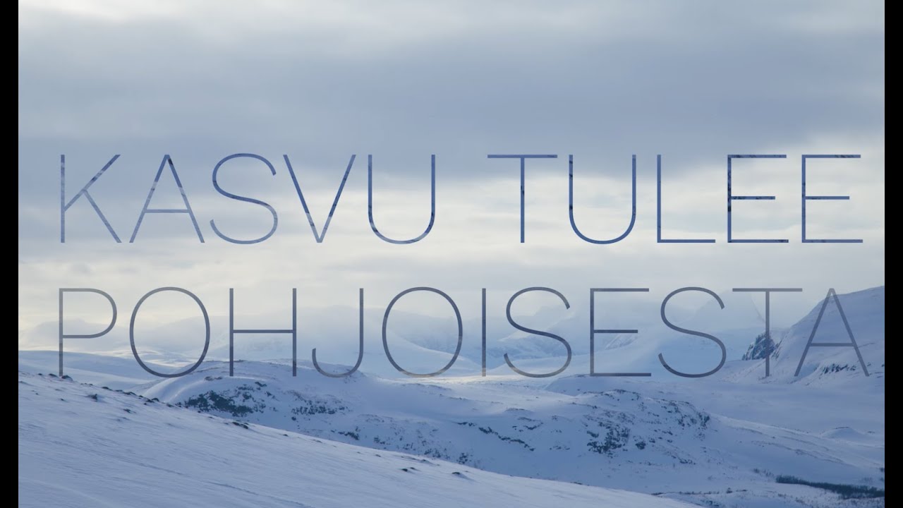 Kasvu alkaa pohjoisesta - Lapin elinkeinoelämän uusi visio