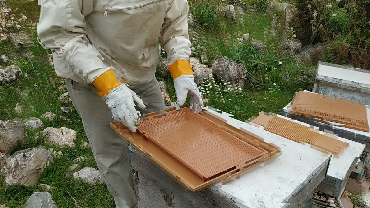 POLEN TUZAKLARINI TAKTIK.