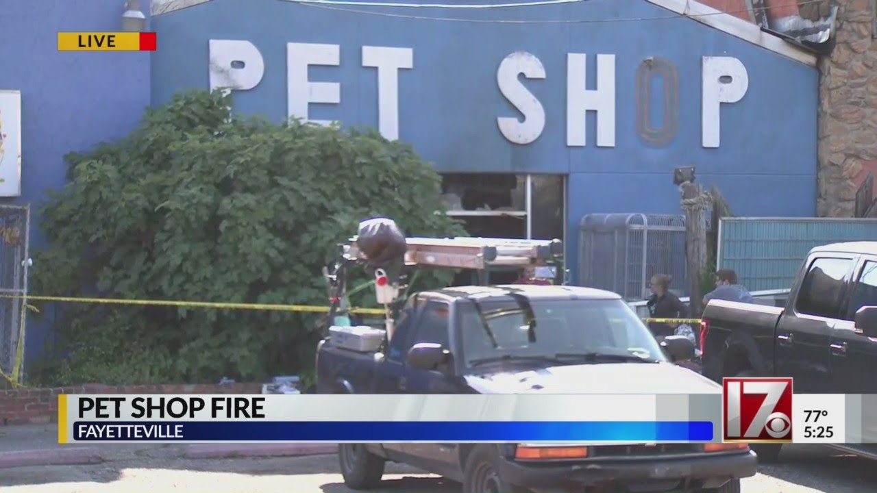 Animals killed in Fayetteville pet shop fire, officials say