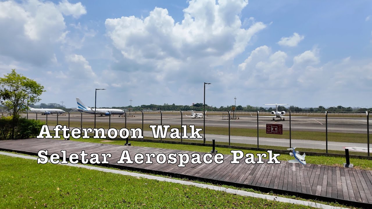 Seletar Aerospace Park🛩️ an Afternoon Walk #singapore #airplane #hangar #cake #beer #lunch #park