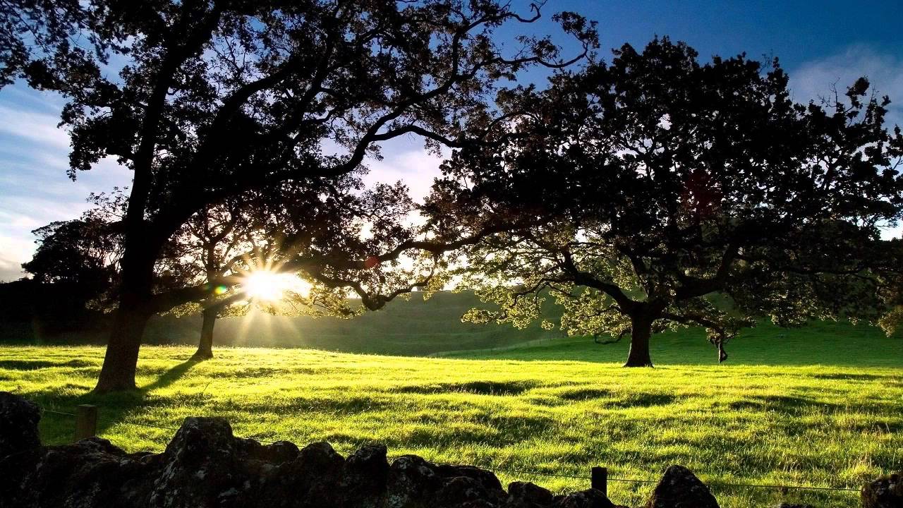 Early Dawn  Catherine Anderson  Chapters 1   5  Audio Books #English #Audiobook
