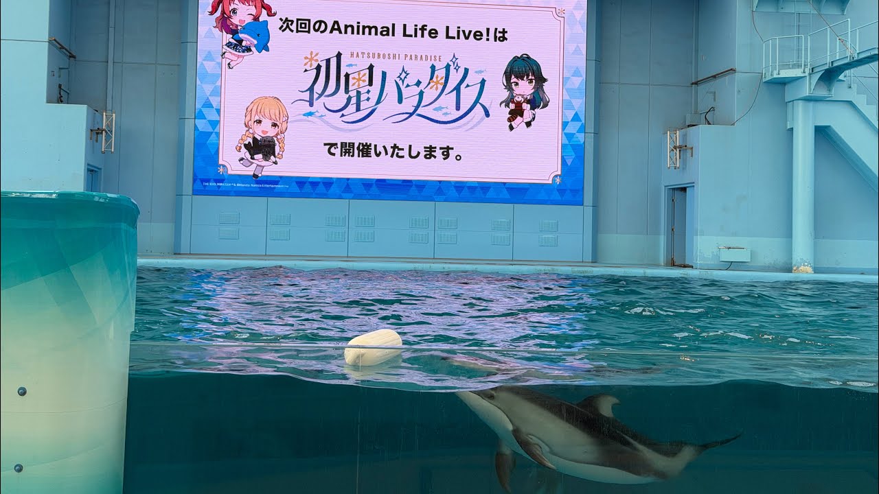 Animal Life Live! 「学園アイドルマスター 初星パラダイス」Ver. #学マス #シーパラダイス 